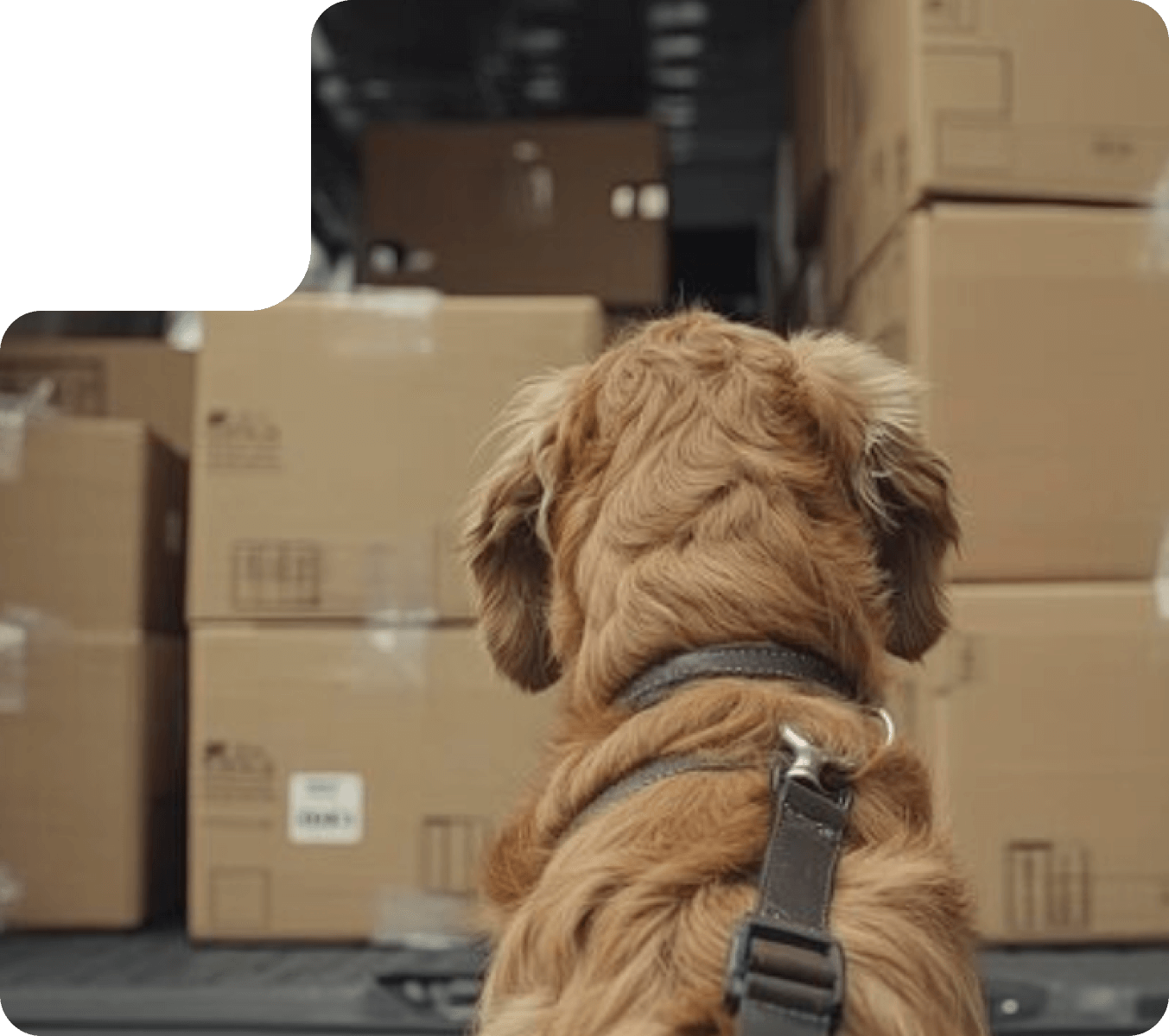 Receba um roteiro comercial otimizado